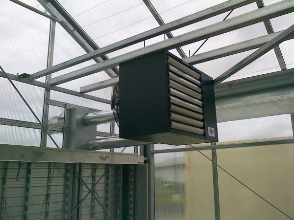 Detroit Radiant UH Series Gas Unit Heaters - Image 3